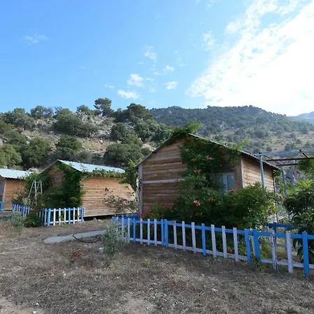 Lantställe Pavlonya Esen (Fethiye)